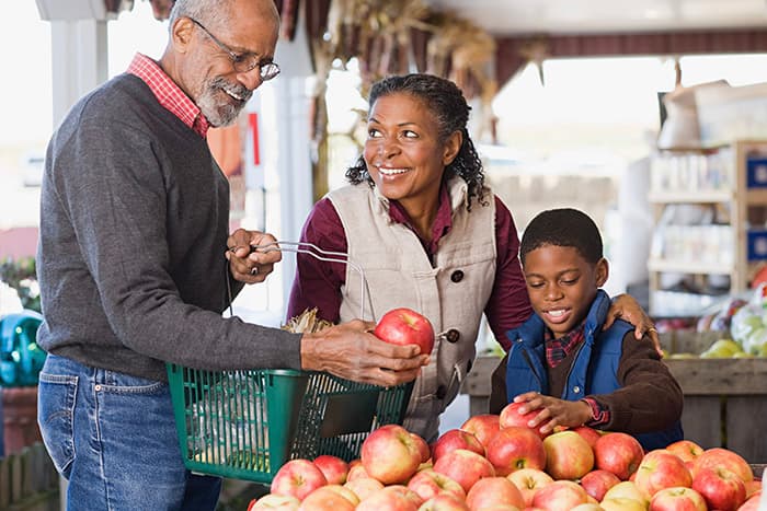 Day Trip Ideas for Older People - Image