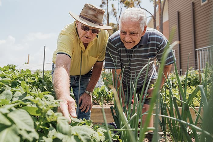 Gardening Tips for Seniors to Make the Most of the Fall - Image