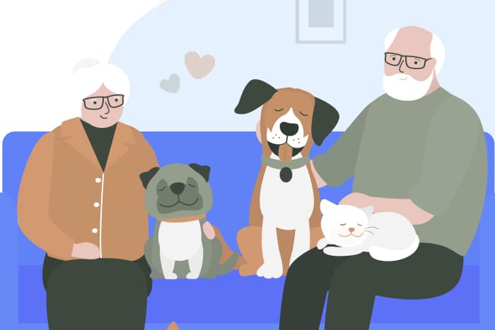 Best Dogs for Seniors - Image